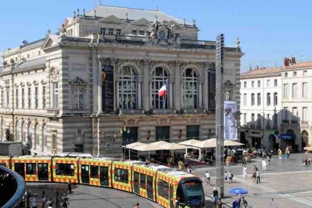 Superbe T2+Parking,Proche Centre Ville & Plages Apartment Montpellier Bagian luar foto